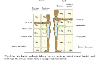 Krovos darbų rankomis mokymai