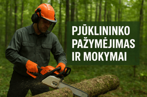 Pjūklininko pažymėjimas ir mokymai